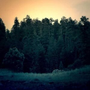 Colorante Liquido Hidrosoluble